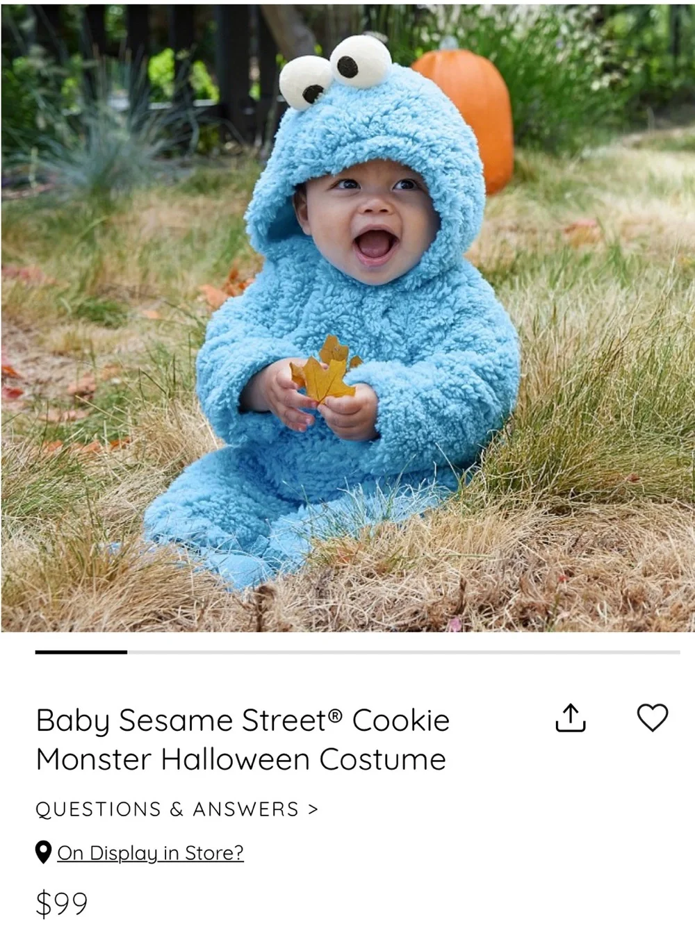 Pottery Barn Kids Blue Plush Hooded Cookie Character Costume